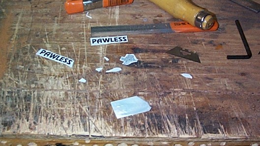 053100a.jpg (63447 bytes)